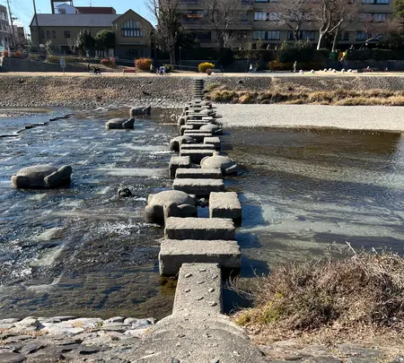 荒神橋近くの飛石の写真・動画_image_488187
