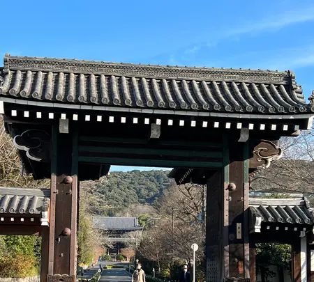 知恩院の写真・動画_image_488192