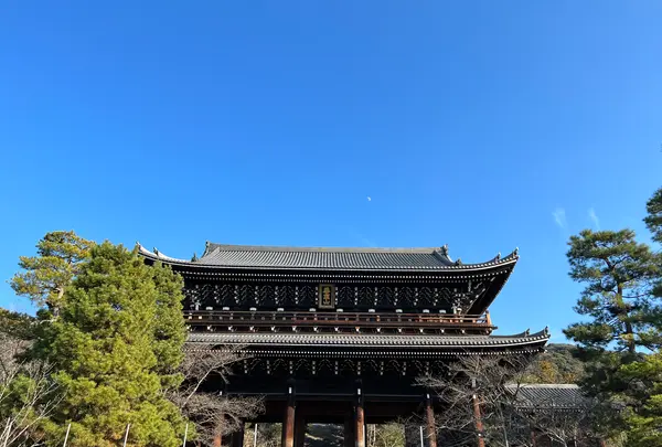 知恩院の写真・動画_image_488193