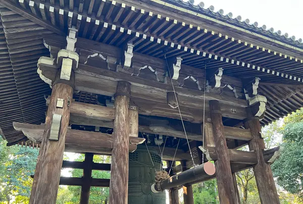 知恩院の写真・動画_image_488194