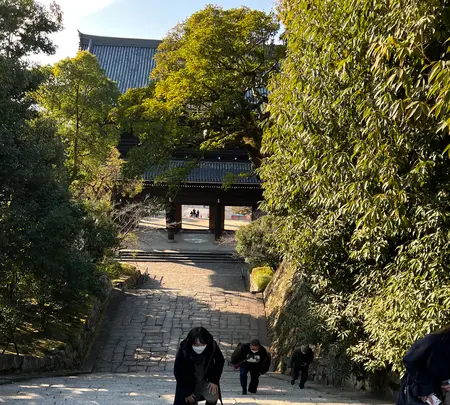 知恩院の写真・動画_image_488195