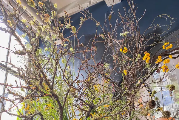 Roman and Williams Guildの写真・動画_image_488308