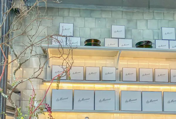 Roman and Williams Guildの写真・動画_image_488317