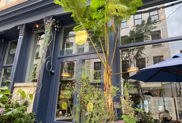 Roman and Williams Guildの写真・動画_image_488323