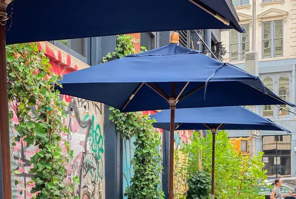 Roman and Williams Guildの写真・動画_image_488324