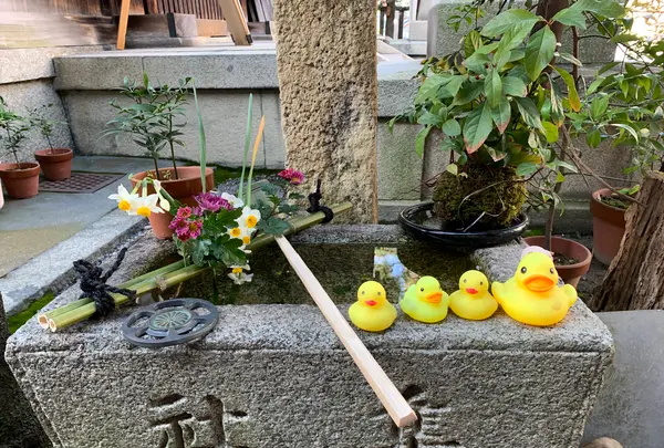 元祇園 梛神社の写真・動画_image_488358