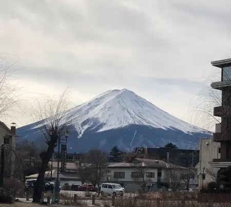 大池公園駐車場の写真・動画_image_488758