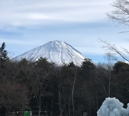 西湖 野鳥の森公園の写真・動画_image_488776