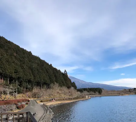 田貫湖の写真・動画_image_488795