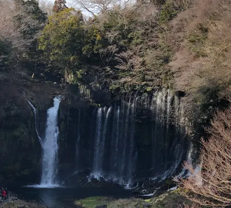 白糸の滝の写真・動画_image_488800