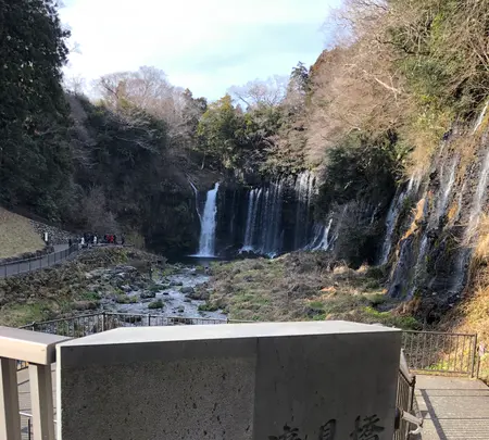 白糸の滝の写真・動画_image_488801