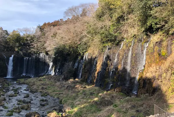 白糸の滝の写真・動画_image_488804