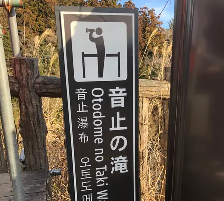 音止めの滝の写真・動画_image_488807