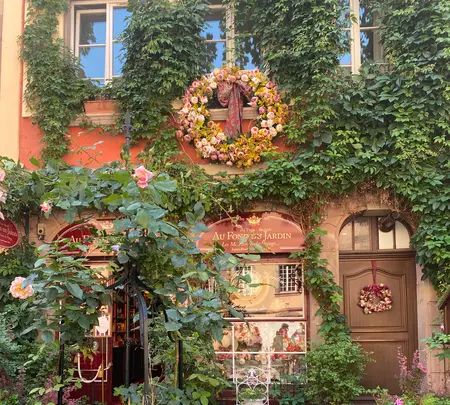 Au Fond du Jardinの写真・動画_image_489180