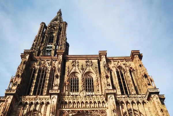 ノートルダム＝ド＝ストラスブール大聖堂（Cathédrale Notre-Dame-de-Strasbourg）の写真・動画_image_489206