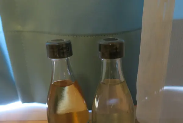 伊江島の写真・動画_image_489513