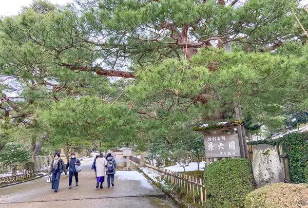兼六園の写真・動画_image_489575