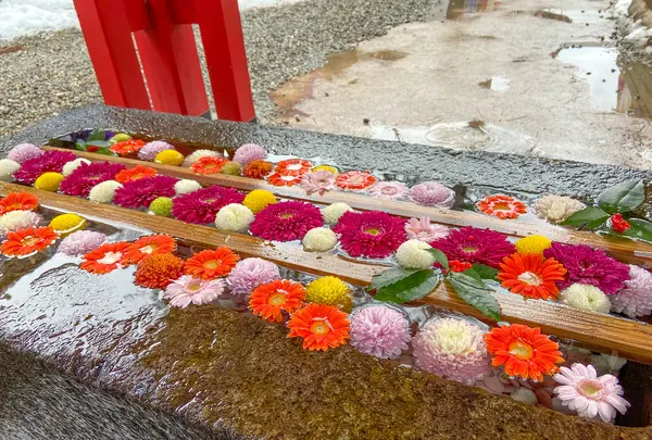 石浦神社の写真・動画_image_489585