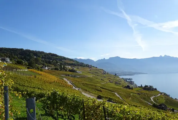 Chexbres Villageの写真・動画_image_489686