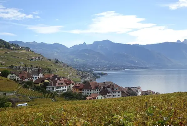 Chexbres Villageの写真・動画_image_489690
