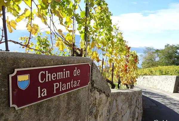 Chexbres Villageの写真・動画_image_489691