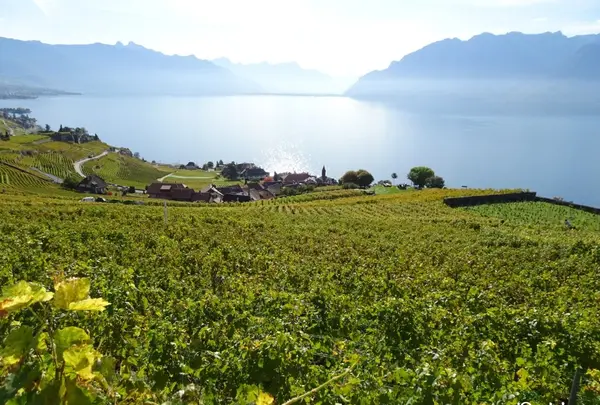 Chexbres Villageの写真・動画_image_489692