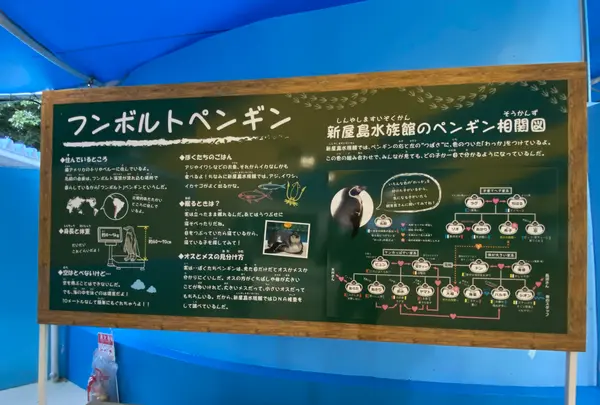 新屋島水族館の写真・動画_image_489734