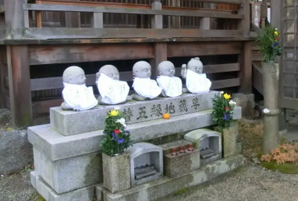 阿弥陀寺の写真・動画_image_489907