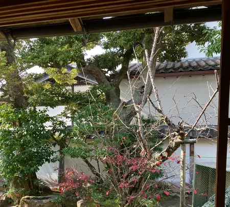 小泉八雲旧居の写真・動画_image_489914