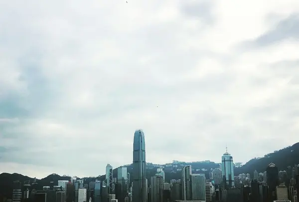 M+の写真・動画_image_490027