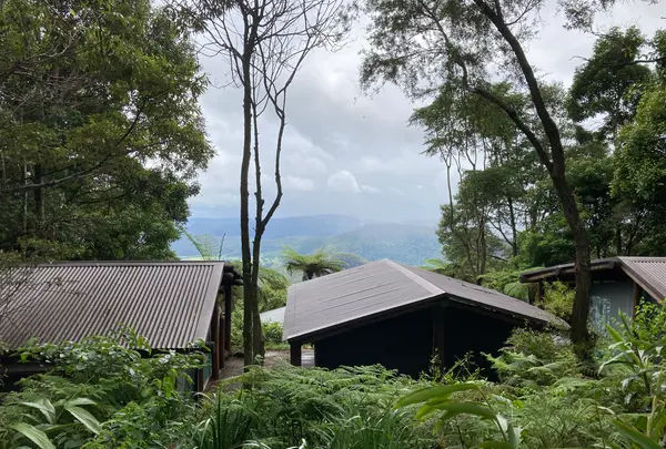 Binna Burra Lodgeの写真・動画_image_490043