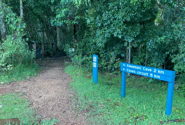 Binna Burra Lodgeの写真・動画_image_490438