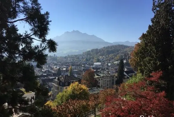 Zytturmの写真・動画_image_490742