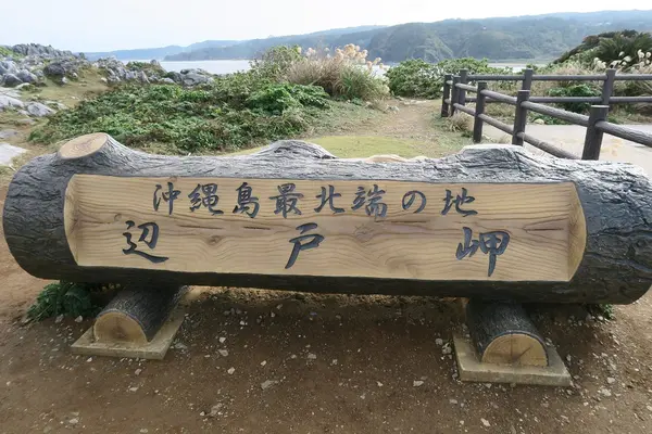 辺戸岬の写真・動画_image_490747