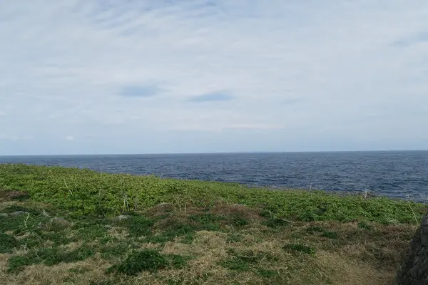 辺戸岬の写真・動画_image_490748