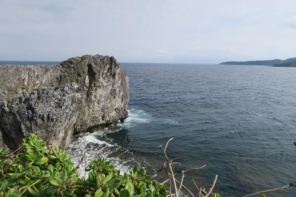 辺戸岬の写真・動画_image_490749