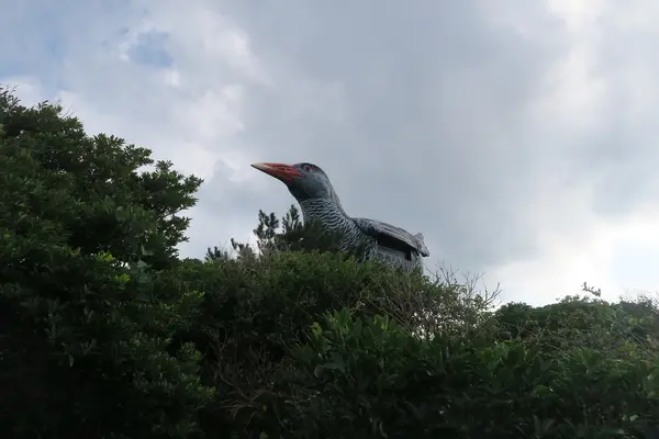 ヤンバルクイナ展望台の写真・動画_image_490754