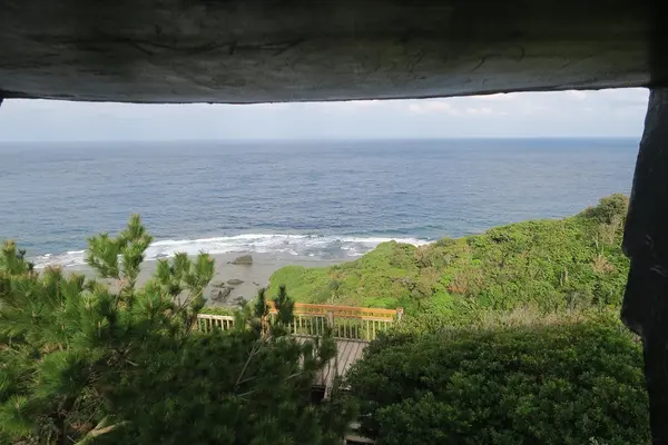 ヤンバルクイナ展望台の写真・動画_image_490756