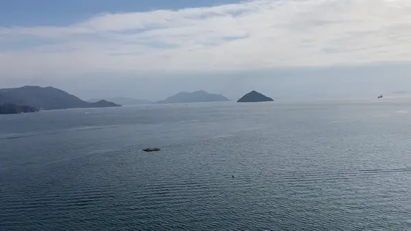 宮島（厳島）の写真・動画_image_491280