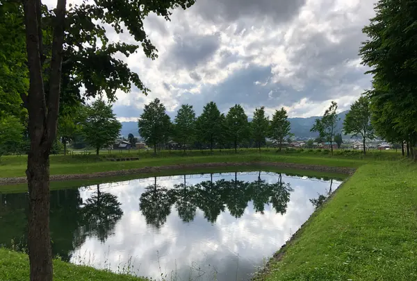 魚沼の里の写真・動画_image_491559