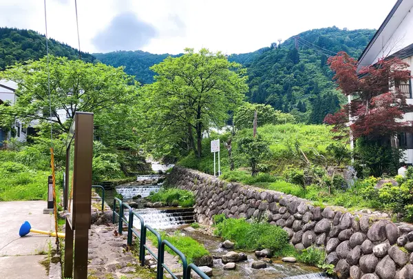 そば処 しんばしの写真・動画_image_491568