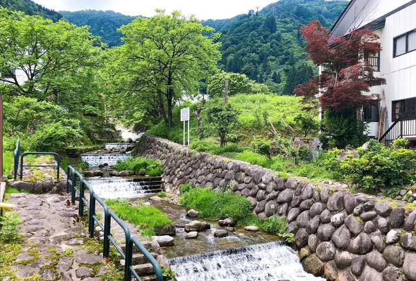 そば処 しんばしの写真・動画_image_491569