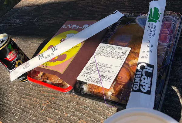 木更津潮浜公園の写真・動画_image_491578