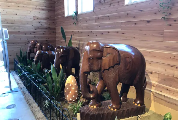 アニマルワンダーリゾウト（市原ぞうの国）の写真・動画_image_491585