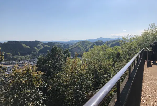 天覧山の写真・動画_image_491589
