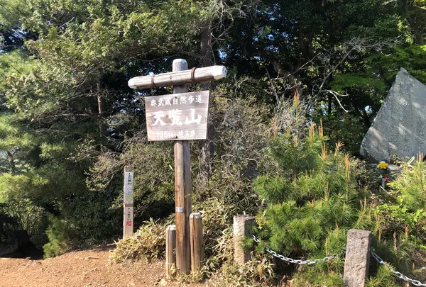 天覧山の写真・動画_image_491591