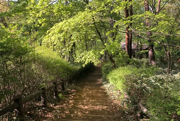 天覧山の写真・動画_image_491592