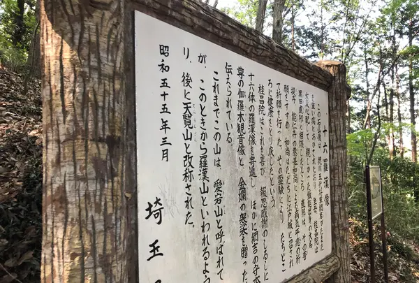 天覧山の写真・動画_image_491593