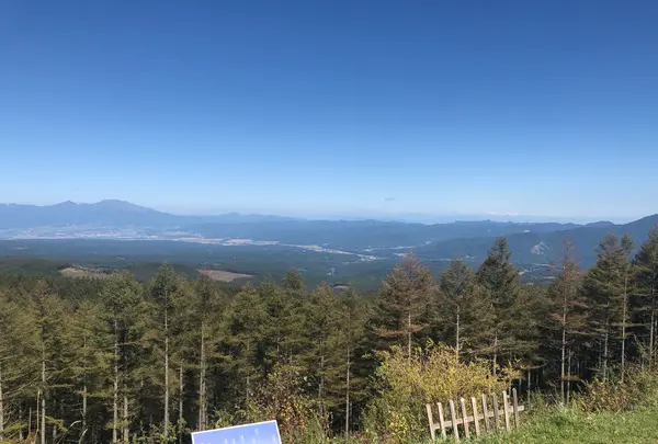 レストハウスふるさとの写真・動画_image_491612