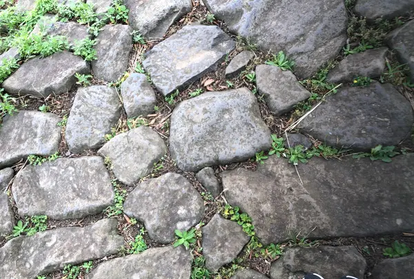 石岳展望台の写真・動画_image_491652